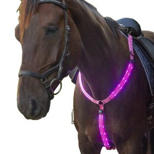 Leuchten Pferd *NEU* LED Stirnband Licht Trense Stirnriemen Reflektoren 
