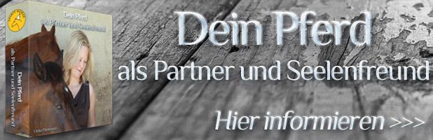 Partner Pferd: Dein Pferd als Partner und Seelenfreund